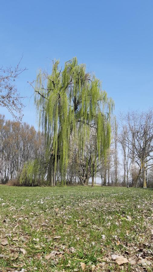 La Locanda Nel Frutteto Rovereto sulla Secchia Exteriér fotografie
